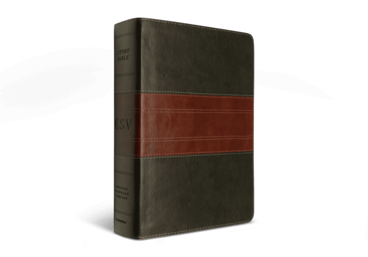 Crossway ESV Study Bible  (TruTone®, Forest/Tan, Trail Design)