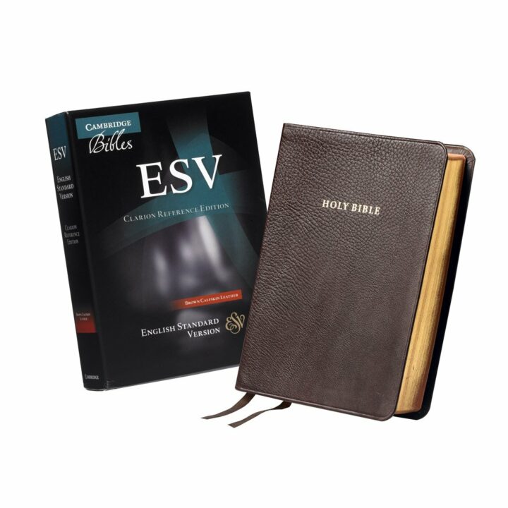 Cambridge ESV Clarion Reference Bible, Brown Calfskin Leather