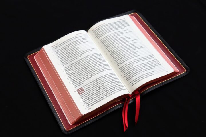 Schuyler Treveris ESV, Full Yapp Black Goatskin Bible - Image 5