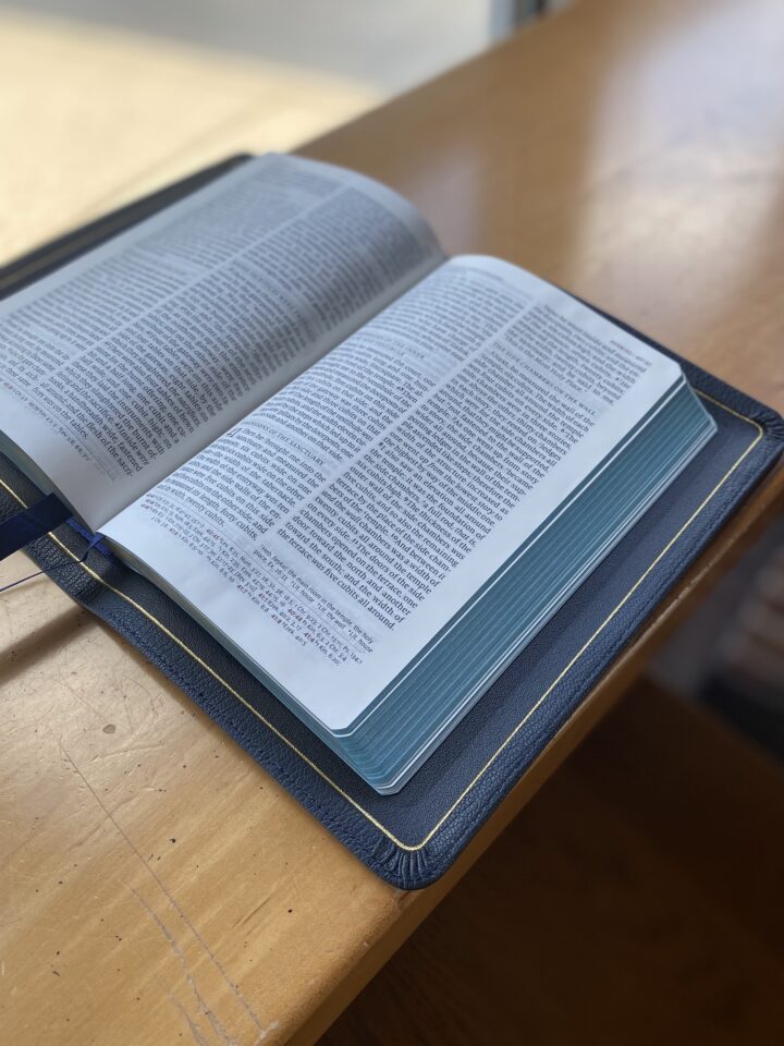 Schuyler Quentel NIV, Full Yapp Imperial Blue Goatskin Bible - Image 3