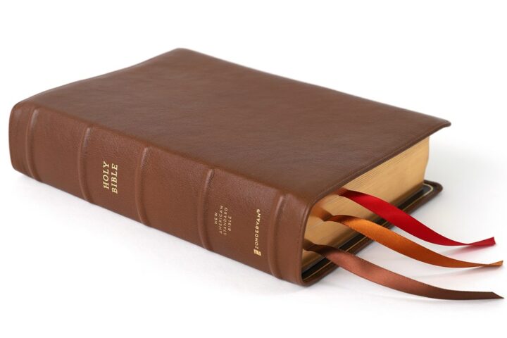 Zondervan NASB (1995), The Grace and Truth Study Bible, Premium Goatskin Leather, Brown, Premier Collection - Image 2