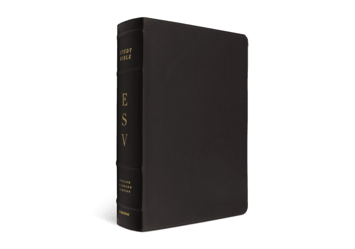 Crossway ESV Study Bible Buffalo Leather, Deep Brown