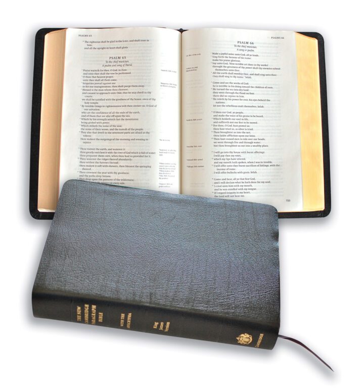 New Cambridge Paragraph Bible <em>with Apocrypha</em>, Personal Size, Black Calfskin