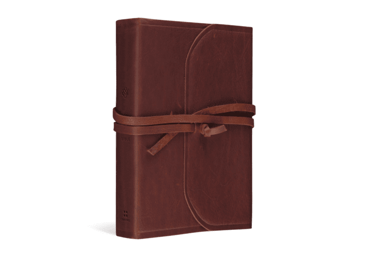 Crossway ESV Student Study Bible, Natural Leather, Brown, Flap with Strap