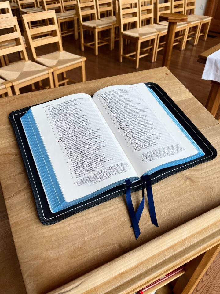 Schuyler Stridon NASB, Imperial Blue Goatskin Bible