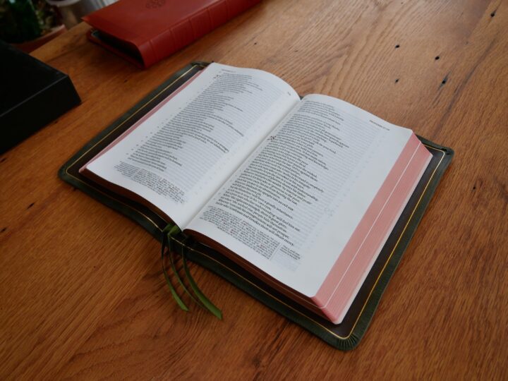 Schuyler Stridon ESV, Full Yapp Olive Green Calfskin Bible - Image 2