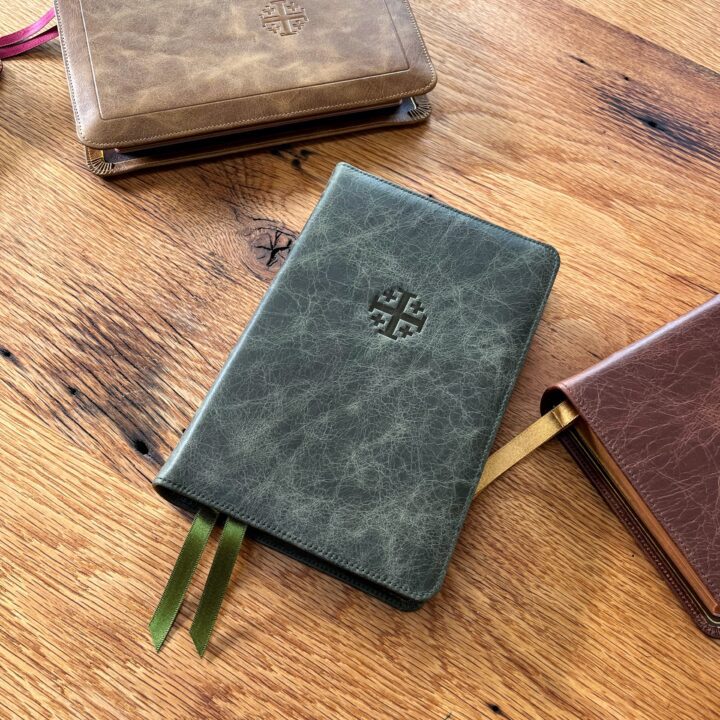 Schuyler Quentel NIV, Olive Green Calfskin Bible