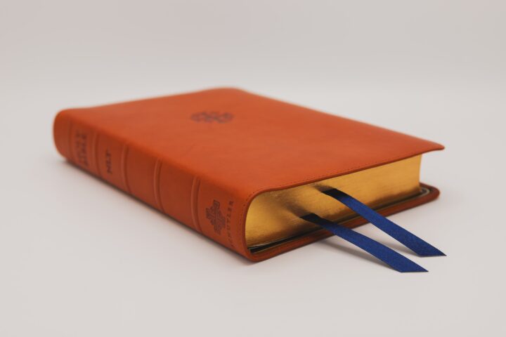 Schuyler Personal Size Quentel NLT, Siena Calfskin Bible