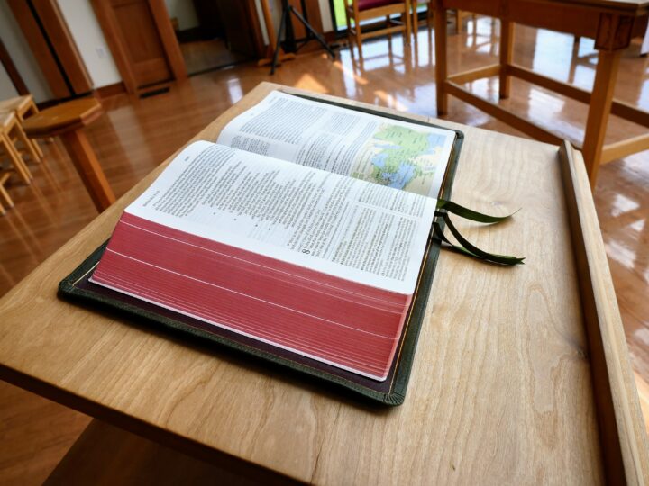 Crossway ESV Heirloom Study Bible, Olive Green Calfskin - Image 3